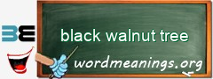 WordMeaning blackboard for black walnut tree